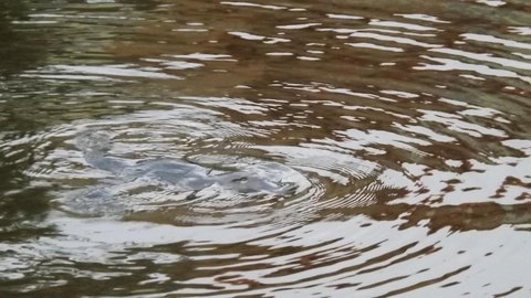 Penguin Seaside Homestay - South Australia Travel 2