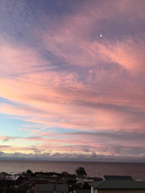 Penguin Seaside Homestay - South Australia Travel 5