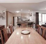 Reindeer 3 - South Australia Travel