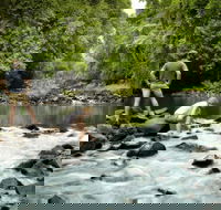 Sharlynn by the River - South Australia Travel