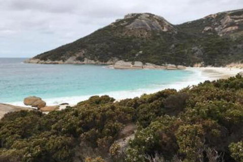 Zephyr Studio - South Australia Travel 6