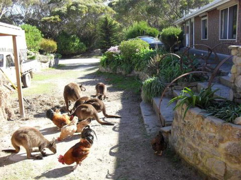 Anchorage Apartments - South Australia Travel 4