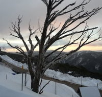 Snowflake 12 - South Australia Travel