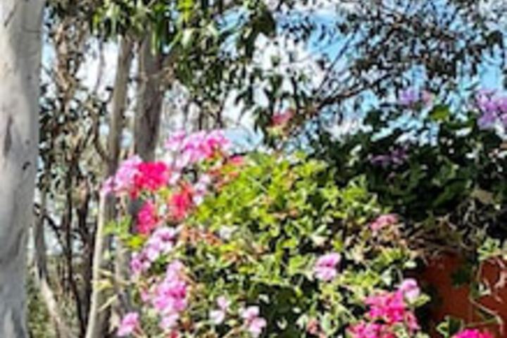 Anduramba QLD South Australia Travel