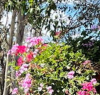 Crows Nest Motel - South Australia Travel