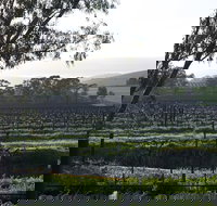 Jasmine's Cottage - South Australia Travel