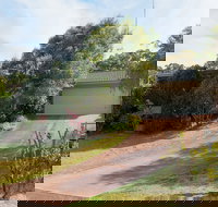 Wildflowers at Fingal Bay