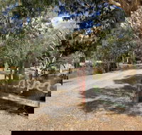 Bushland - South Australia Travel