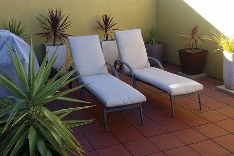 High On Penguin - South Australia Travel 6