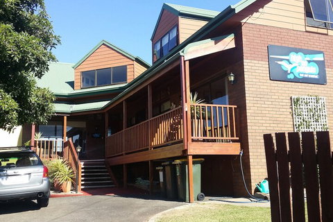 High On Penguin - South Australia Travel 1