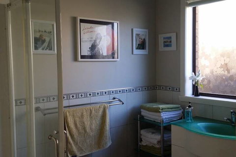 High On Penguin - South Australia Travel 5