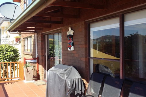 High On Penguin - South Australia Travel 7