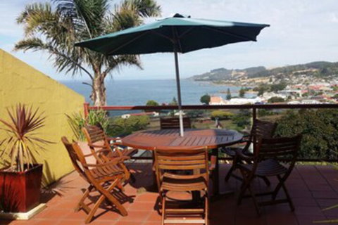 High On Penguin - South Australia Travel 0