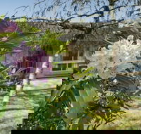 Wentworth Rose - South Australia Travel