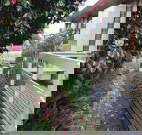 The Glen Family House - South Australia Travel