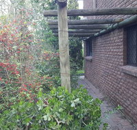 Nice house in Singleton Hunter Valley - South Australia Travel