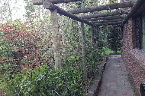 Nice House In Singleton Hunter Valley - South Australia Travel 3