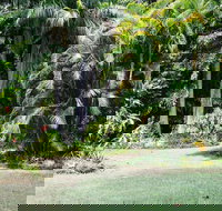 Sanctuary in The Pocket