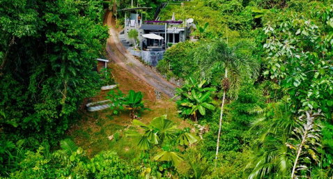 Earthship Daintree - South Australia Travel 6