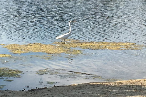 Lovely House - South Australia Travel 1
