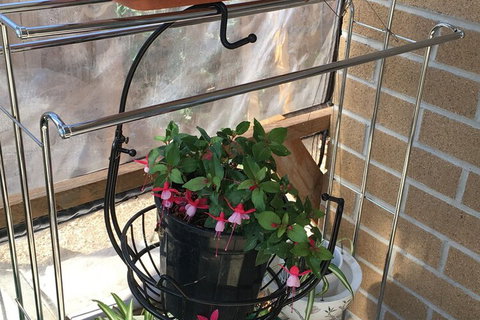 Lovely House - South Australia Travel 7