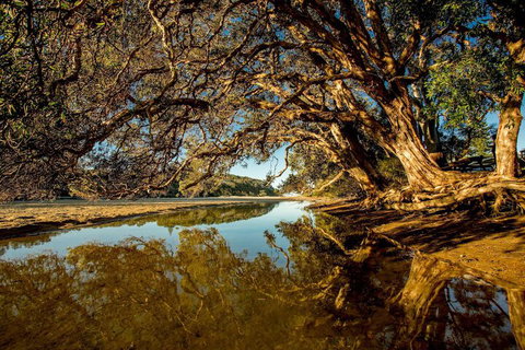 Woolgoolga Lakeside Holiday Park - South Australia Travel 1