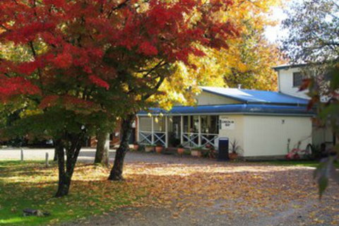 Porepunkah Pines Holiday Park - South Australia Travel 0