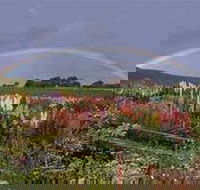 Boat Harbour Garden Cottages - South Australia Travel