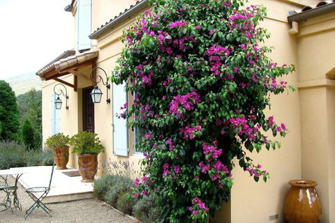 Casa Valeri - South Australia Travel 3