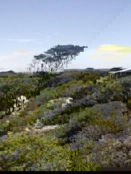 Lantauanan - South Australia Travel 1