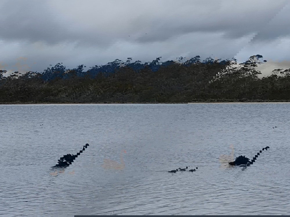  South Australia Travel