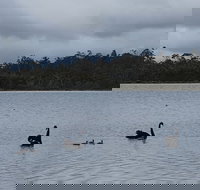 Lake Yalleena Nature Retreat - South Australia Travel