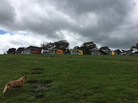 Lush Pastures - South Australia Travel 1