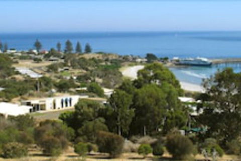 SeaShells Penneshaw - South Australia Travel 1