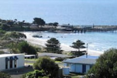 SeaShells Penneshaw - South Australia Travel 0