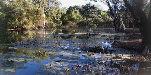 Springvale Homestead - South Australia Travel 1