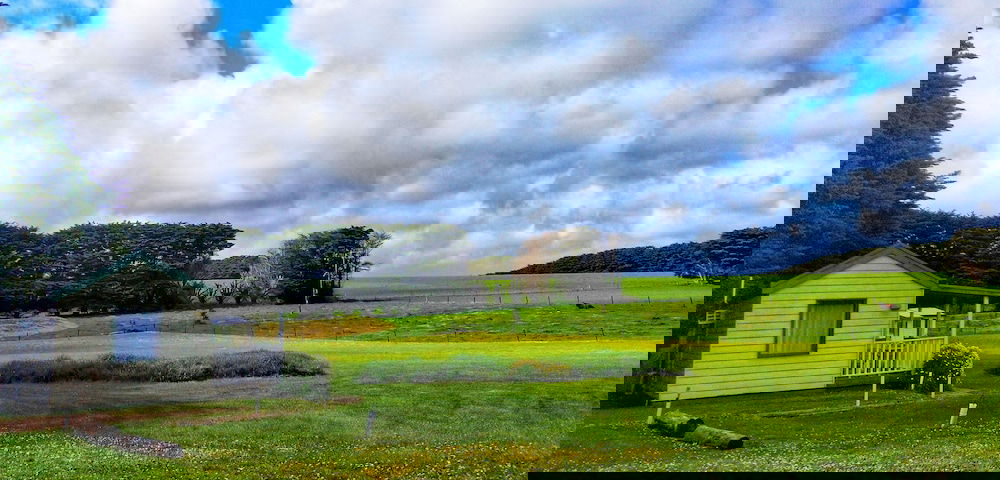 Princetown VIC South Australia Travel