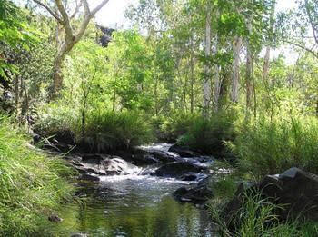 Mt Hart Homestead - South Australia Travel 4