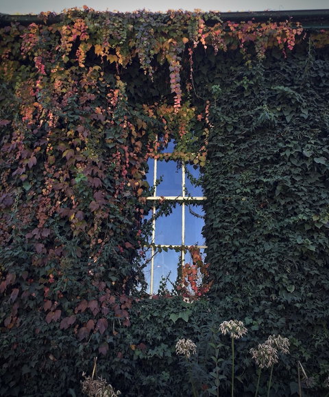 Berida Hotel - South Australia Travel 0