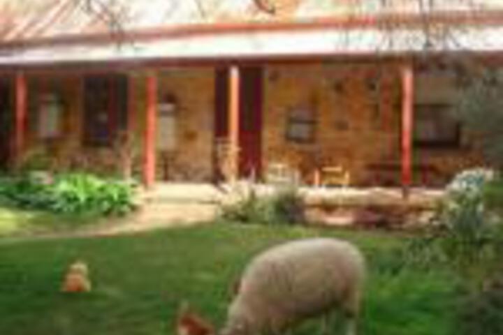 Mount Barker SA South Australia Travel