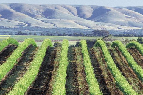 Willunga House - South Australia Travel 4