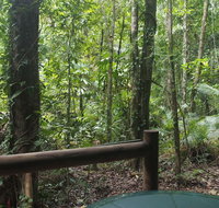 Daintree Crocodylus - South Australia Travel