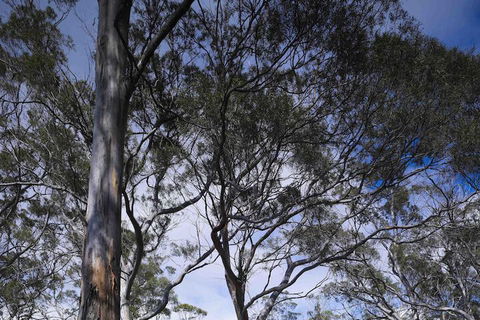 Rocky Hills Retreat - South Australia Travel 7