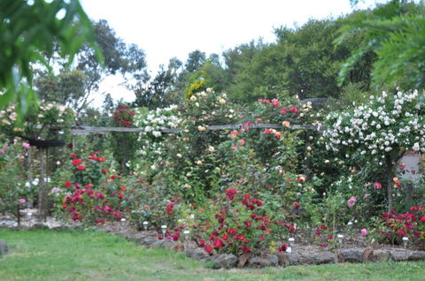 Fairy Wren Cottage Country To Coast Retreat - South Australia Travel 6