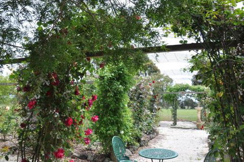 Fairy Wren Cottage Country To Coast Retreat - South Australia Travel 1