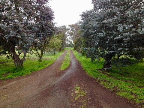 Fairy Wren Cottage Country To Coast Retreat - South Australia Travel 4