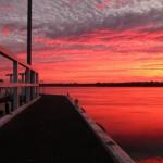 Fairy Wren Cottage Country To Coast Retreat - South Australia Travel 0