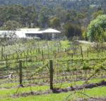 Eureka Farm - South Australia Travel