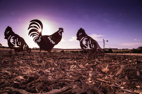 Bukirk Glamping & Tiny Houses - South Australia Travel 6