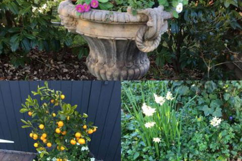 Clubbe Cottage - South Australia Travel 7